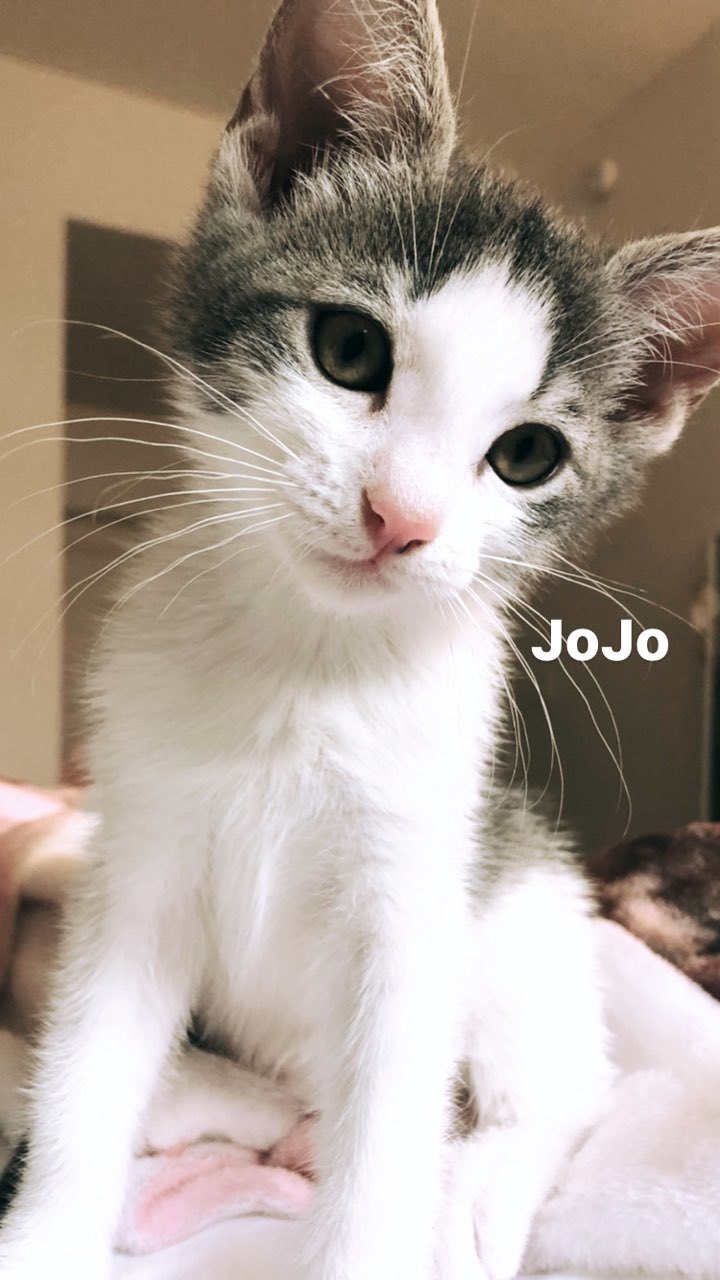 Jojo detail page