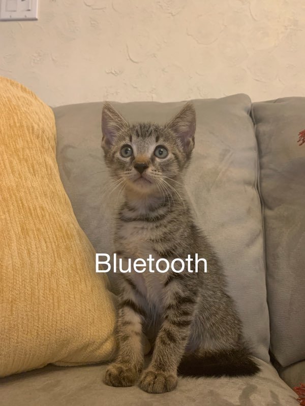 Bluetooth detail page