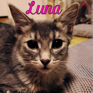 Luna