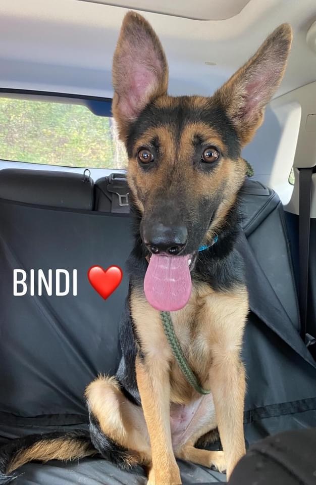 Bindi 2