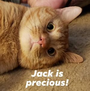 Jack - precious boy!