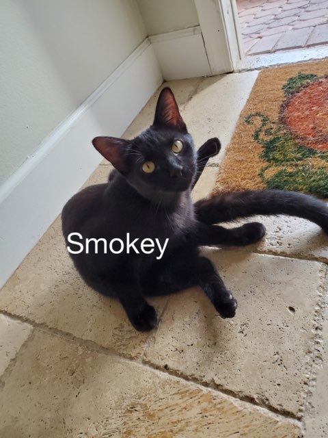 Smokey detail page