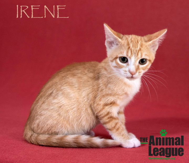 Irene 2