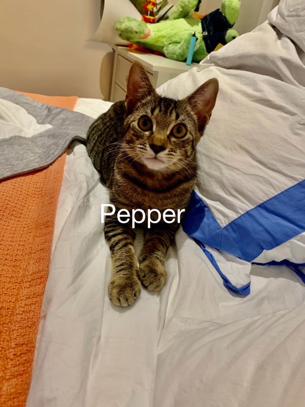Pepper detail page
