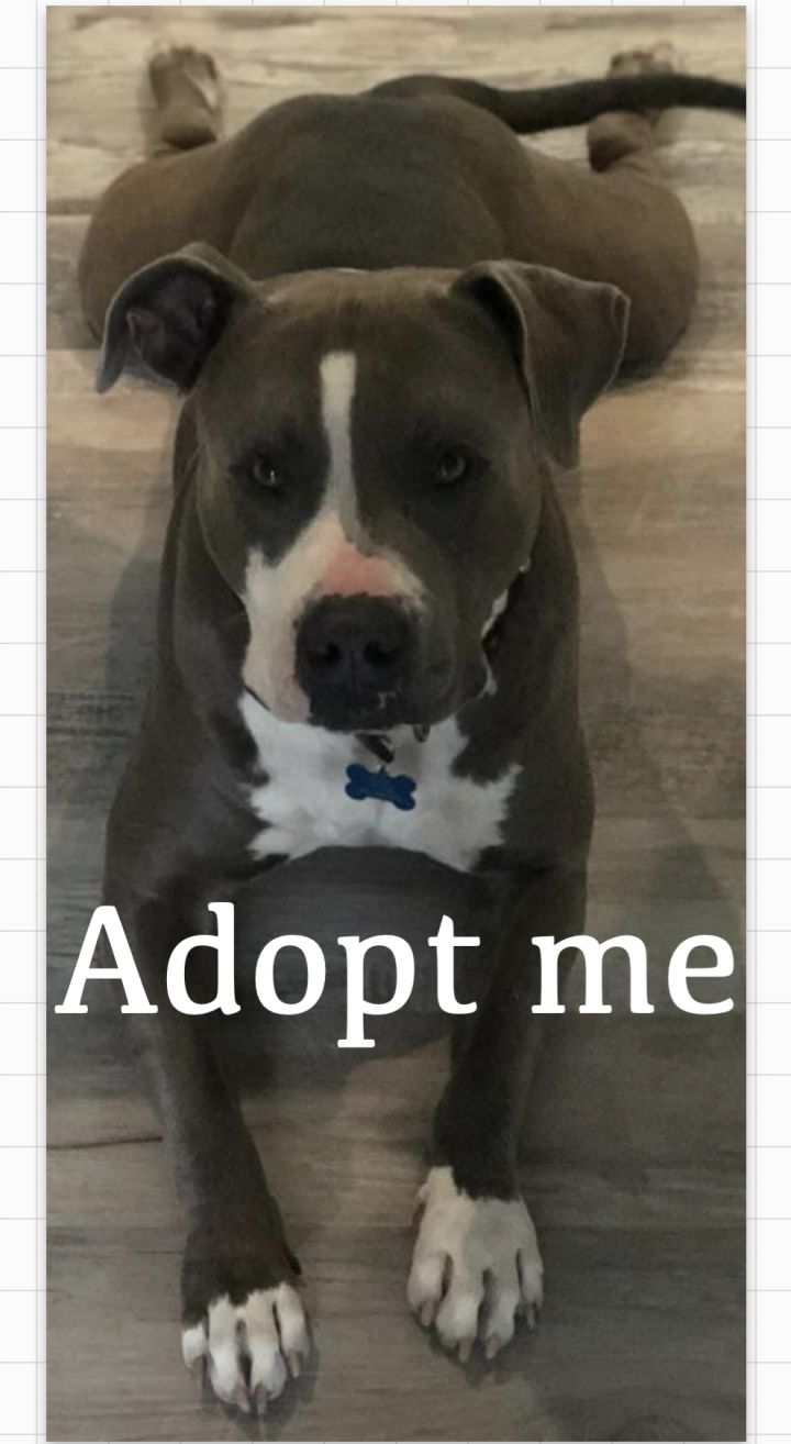 Zeek 5