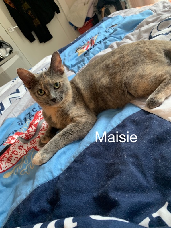 Maisie 1