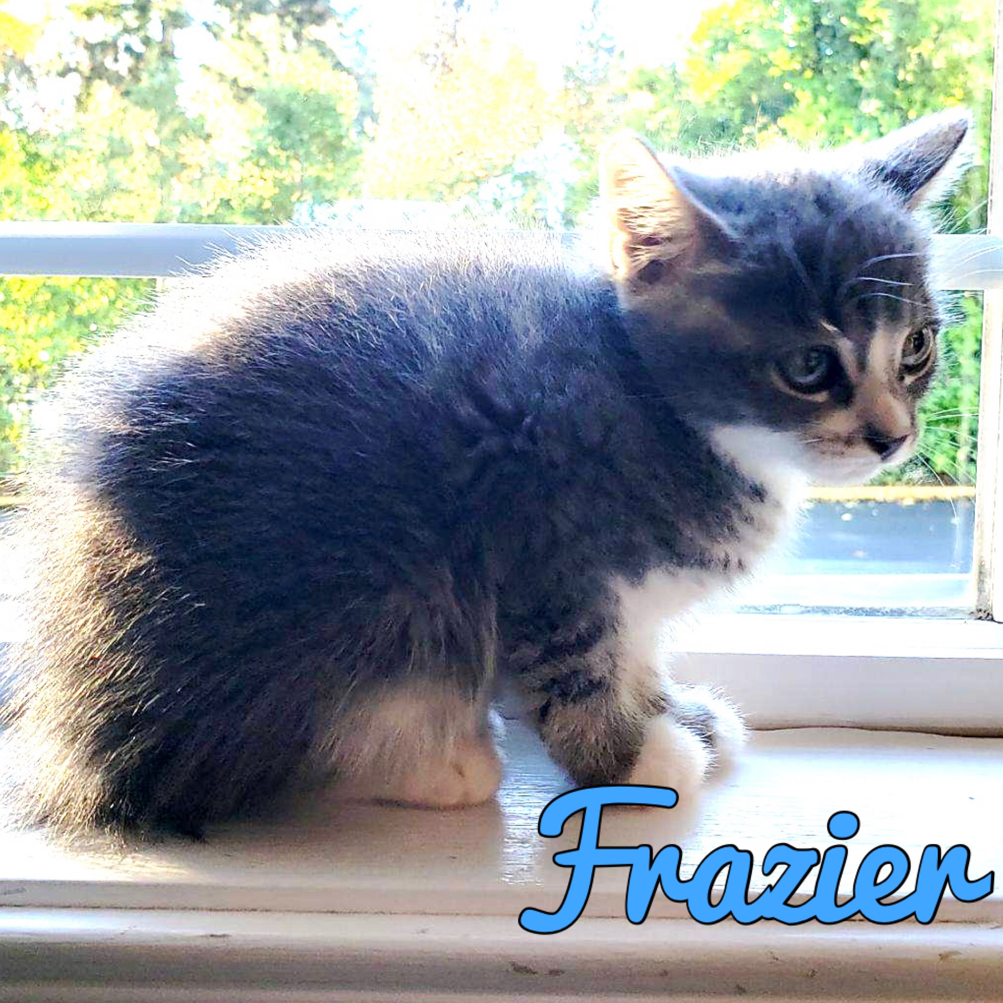 Frazier detail page