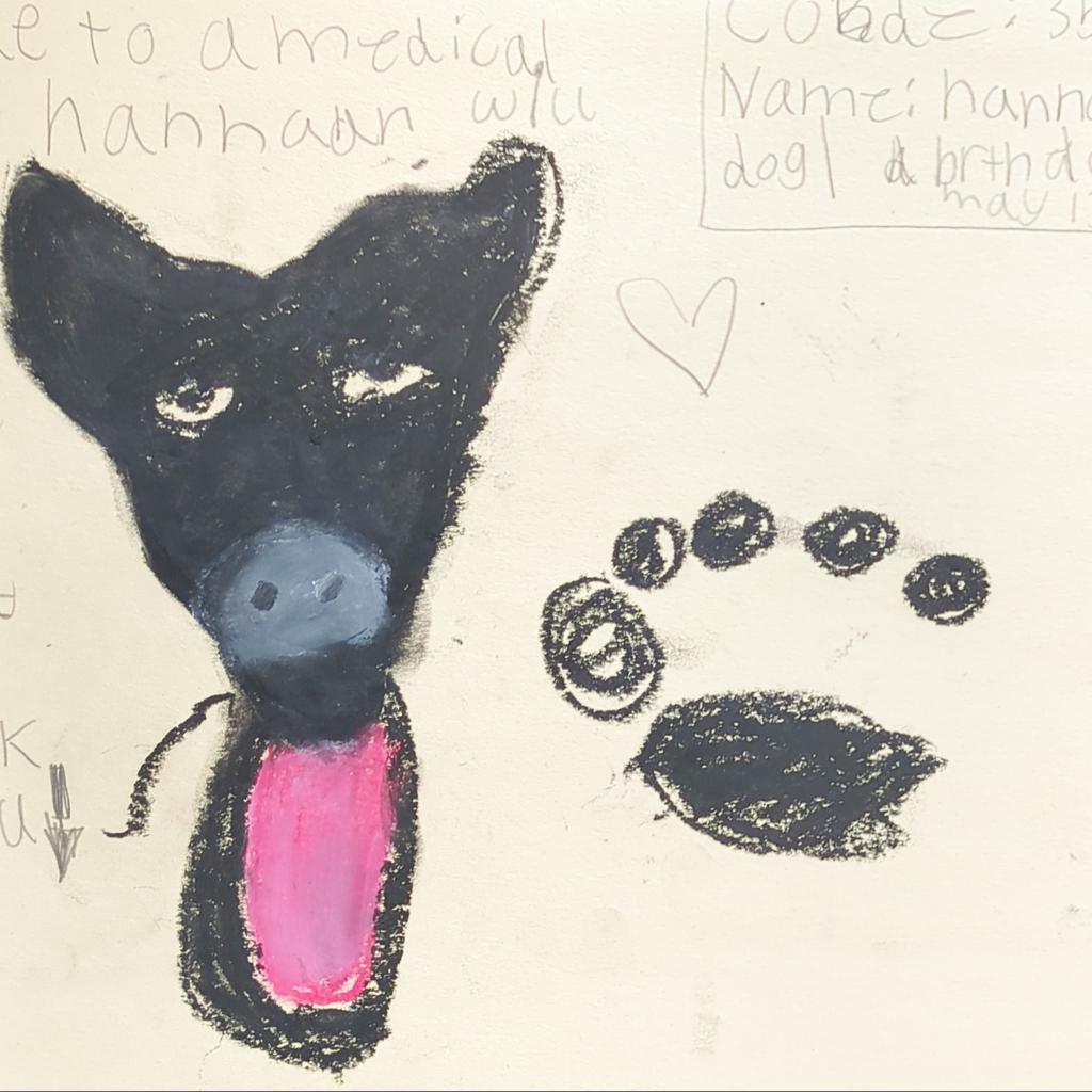 Hannah, an adoptable Labrador Retriever in Kanab, UT, 84741 | Photo Image 3