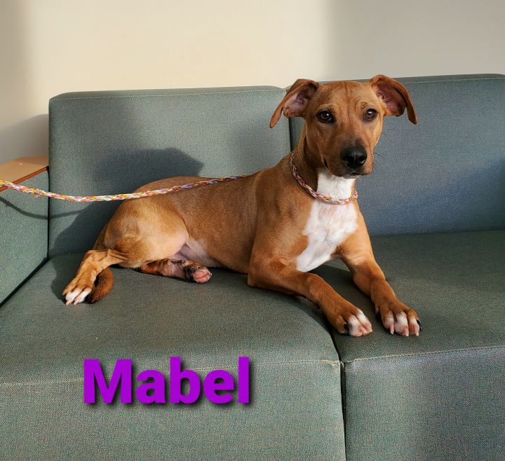 Mabel 2