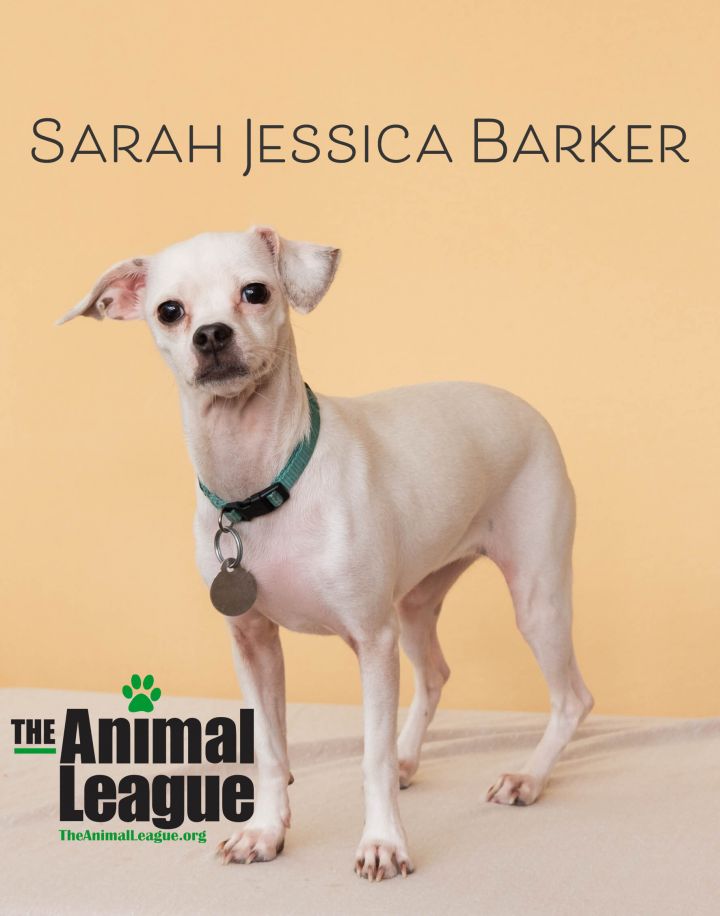 Sarah Jessica Barker 1