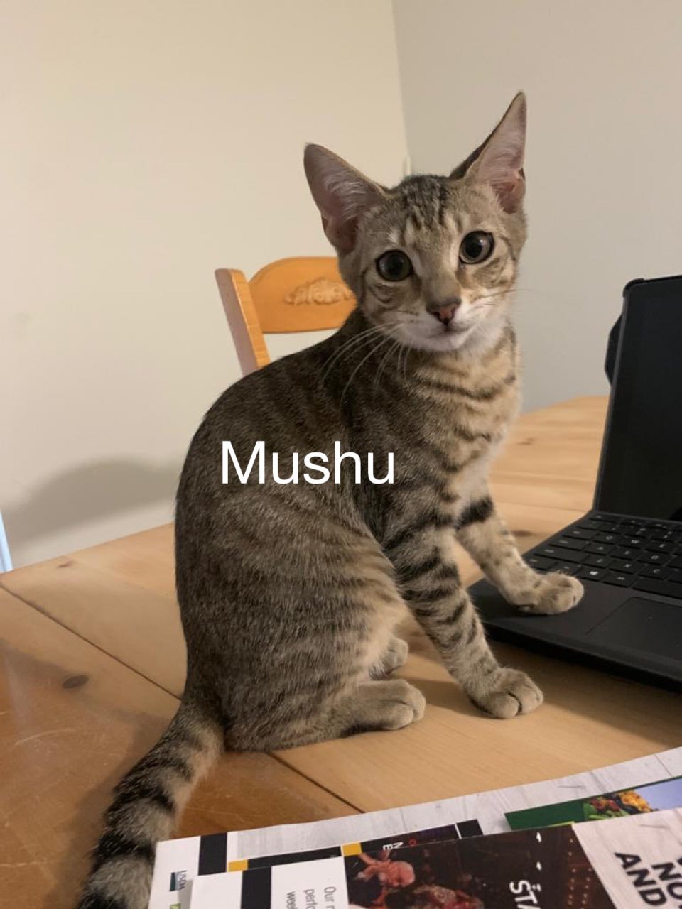 Mushu detail page