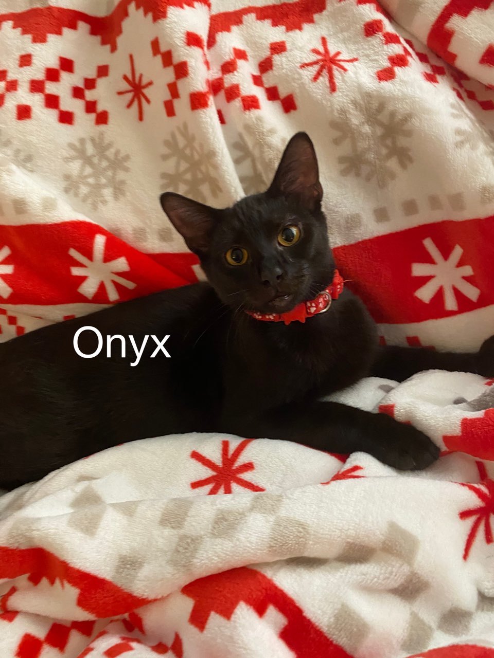 Onyx detail page