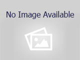 Dogs For Adoption Near Saginaw Mi Petfinder