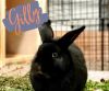 Gilly & Mavis photo 2