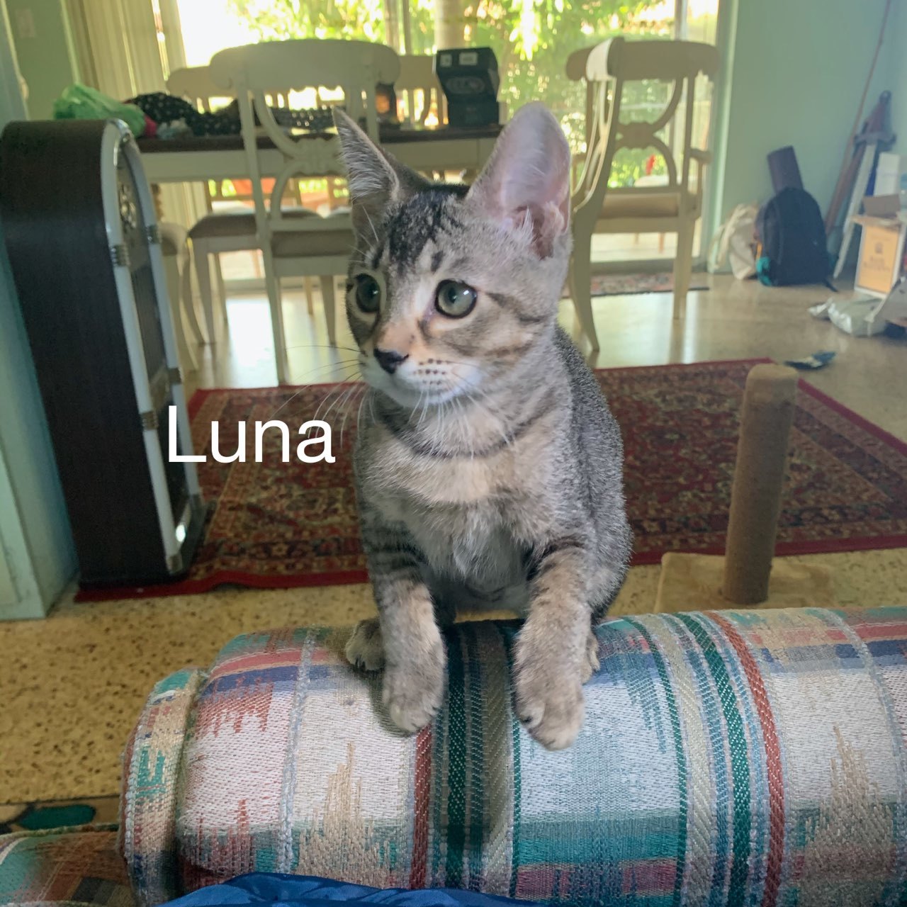 Luna detail page