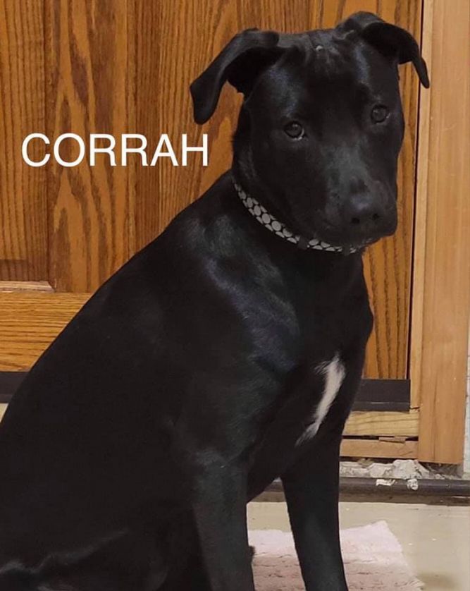Corrah