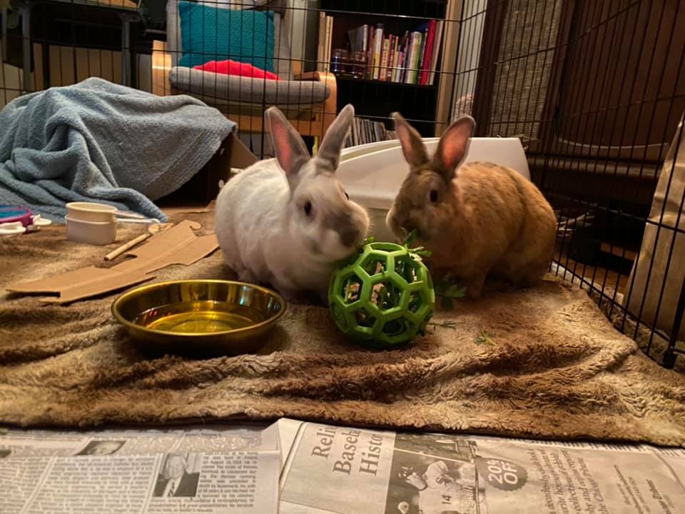 Cher + Dionne - bonded pair!