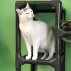 Chat photo 3