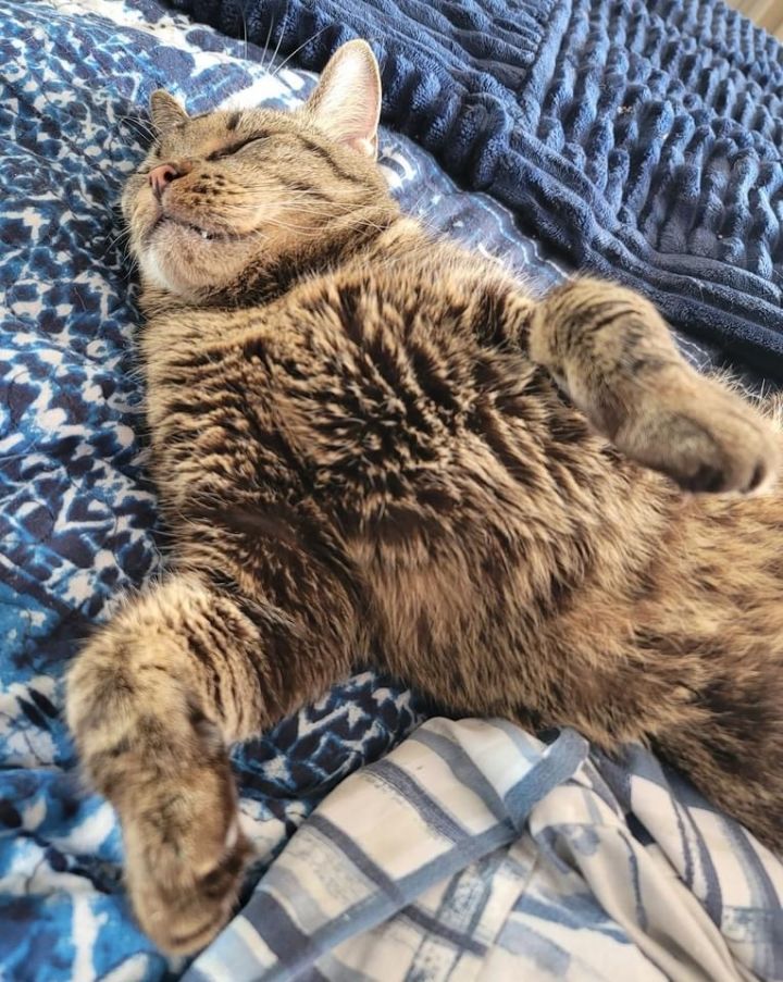 Fonzy *forever foster eligible* 3