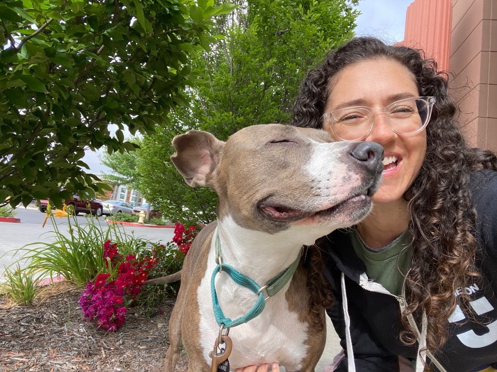 Cheyenne, an adoptable Pit Bull Terrier, American Staffordshire Terrier in Napa, CA, 94559 | Photo Image 5