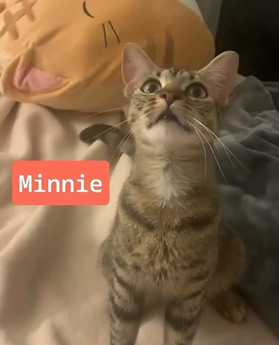 Minnie 2