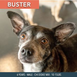 Buster