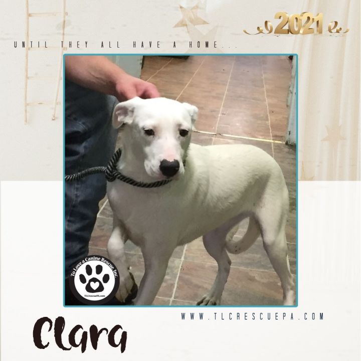 Clara 1