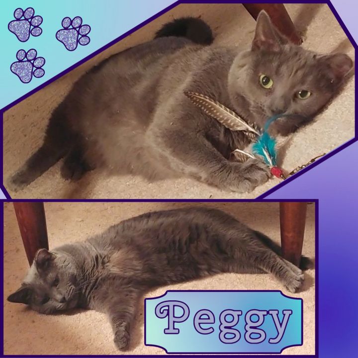 Peggy 4