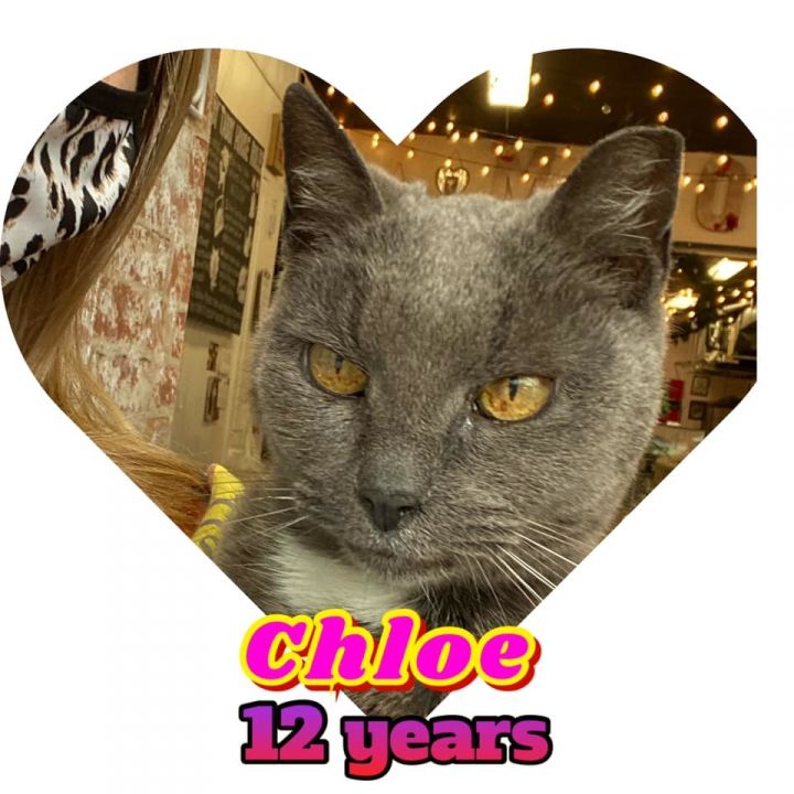 Chloe 1