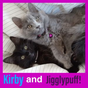 Kirby and Jigglypuff