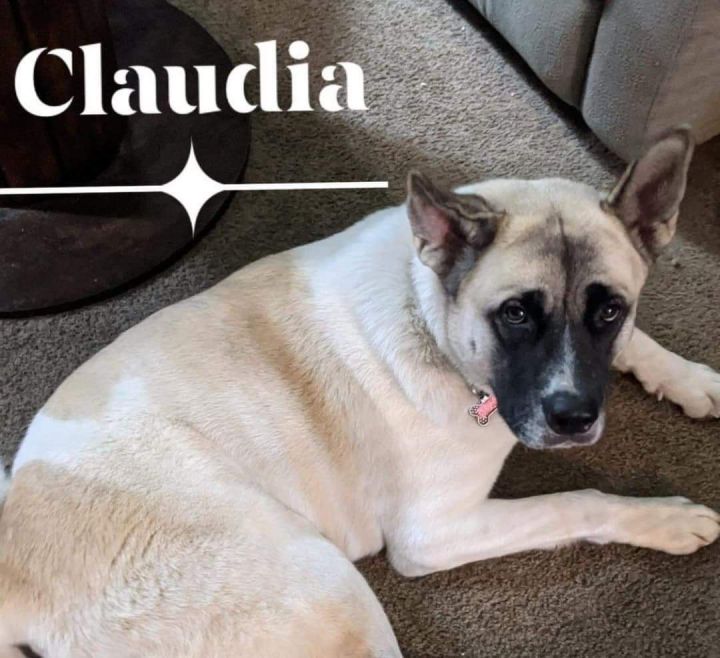 Claudia 2
