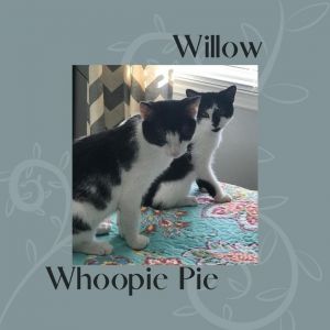 Whoopie Pie & Willow