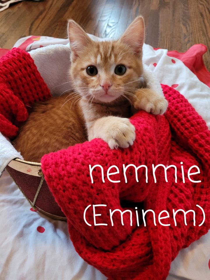 Eminem 1