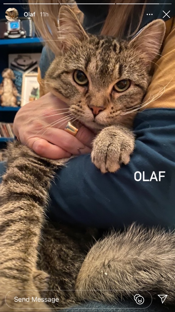 Olaf 5