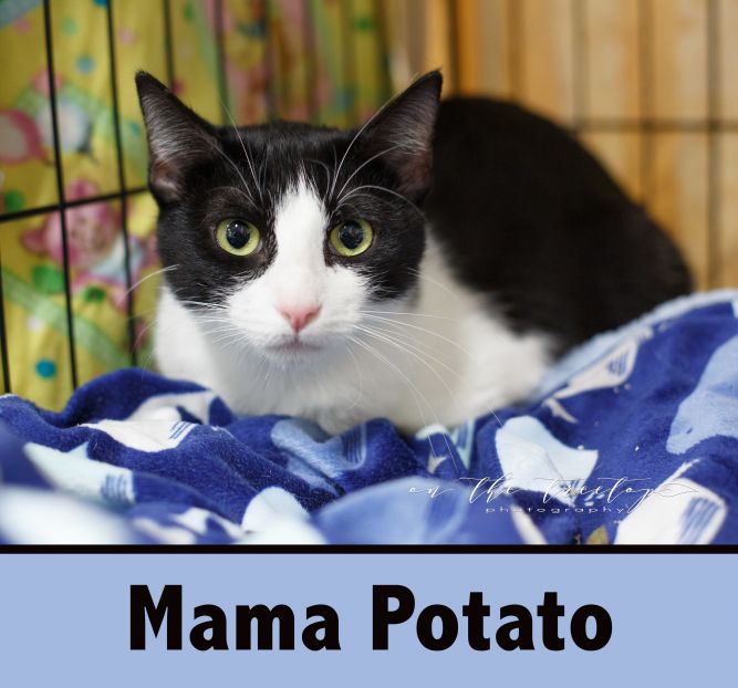 Mama Potato