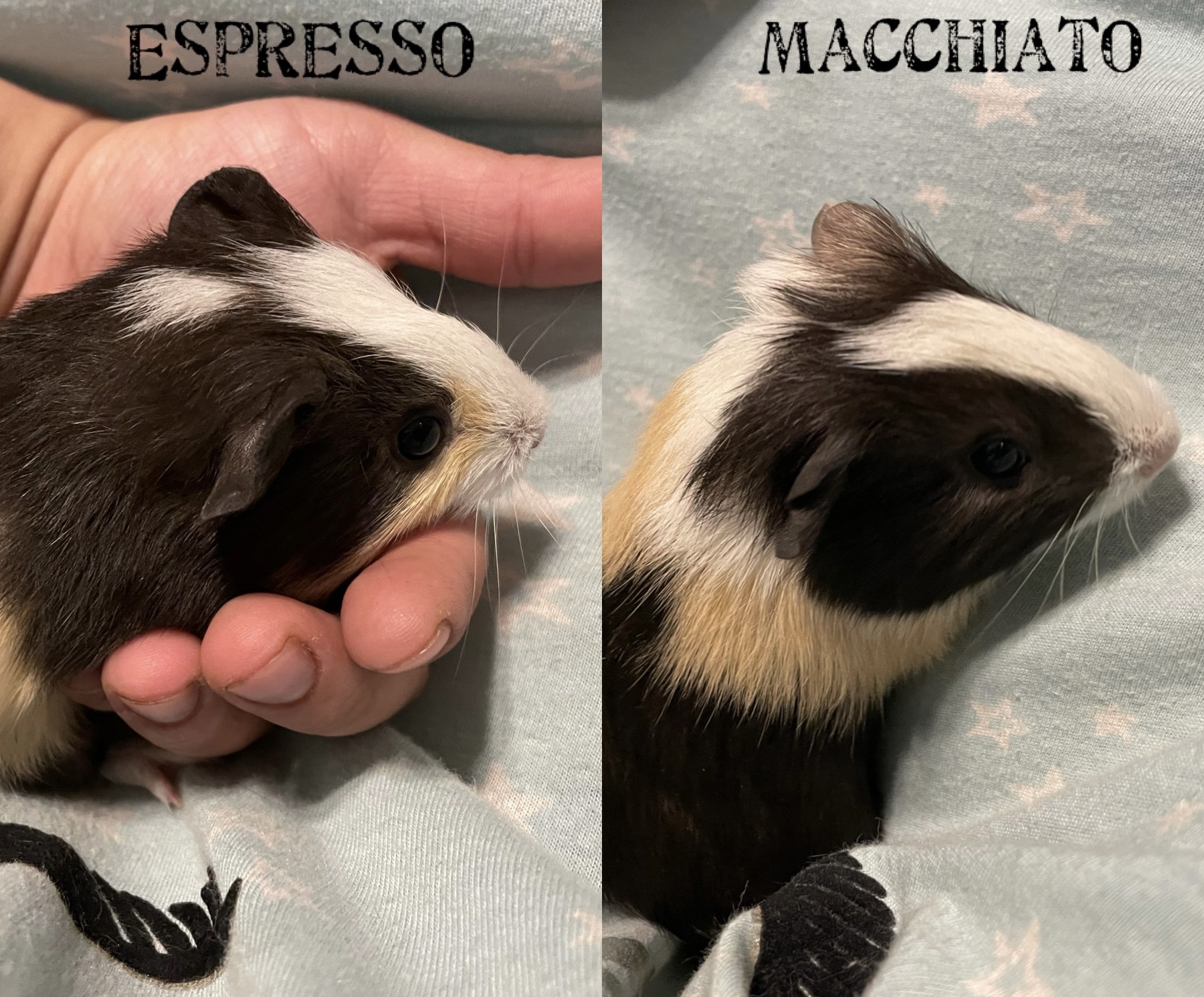 Espresso Macchiato detail page