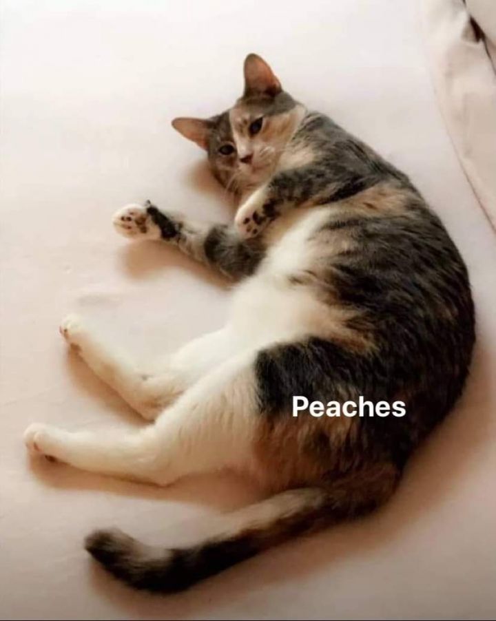 Peaches and Spice 2