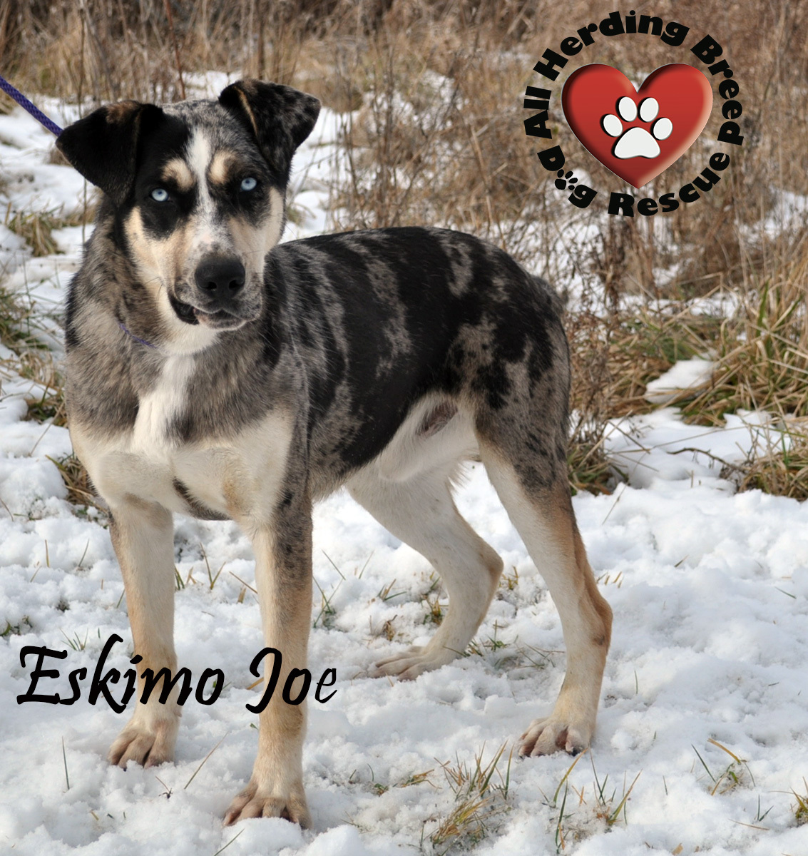 Eskimo Joe detail page