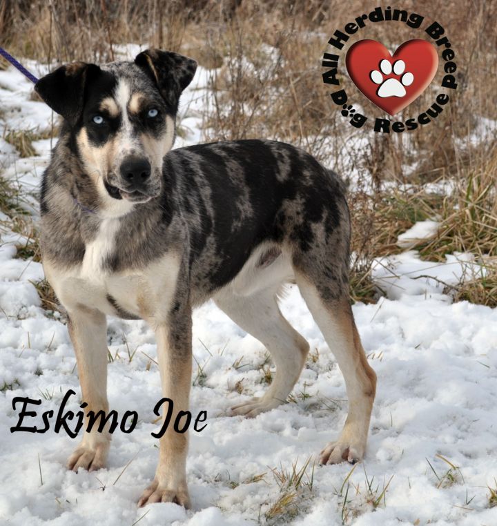 Eskimo Joe 1