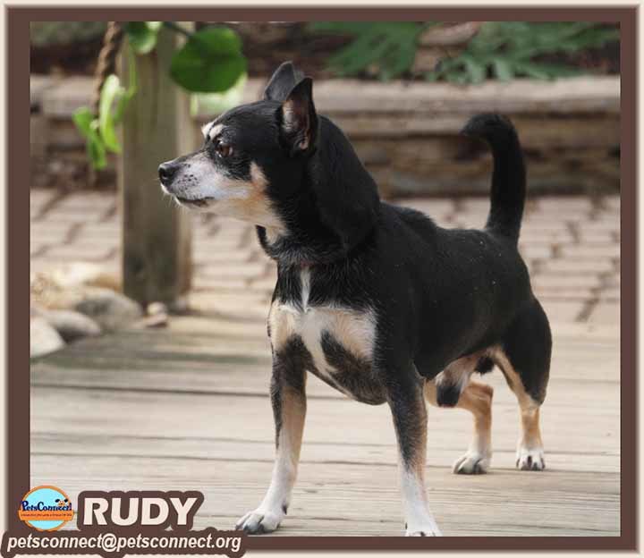 Rudy 5
