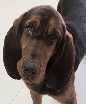 Copper: donations needed! 2