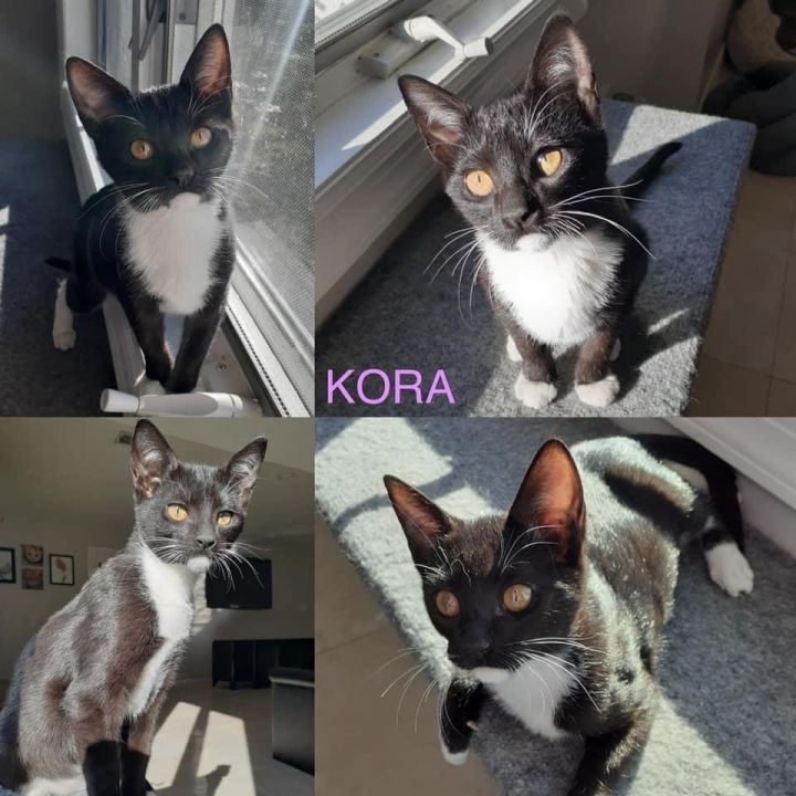 Kora and Kangee (sisters) 1