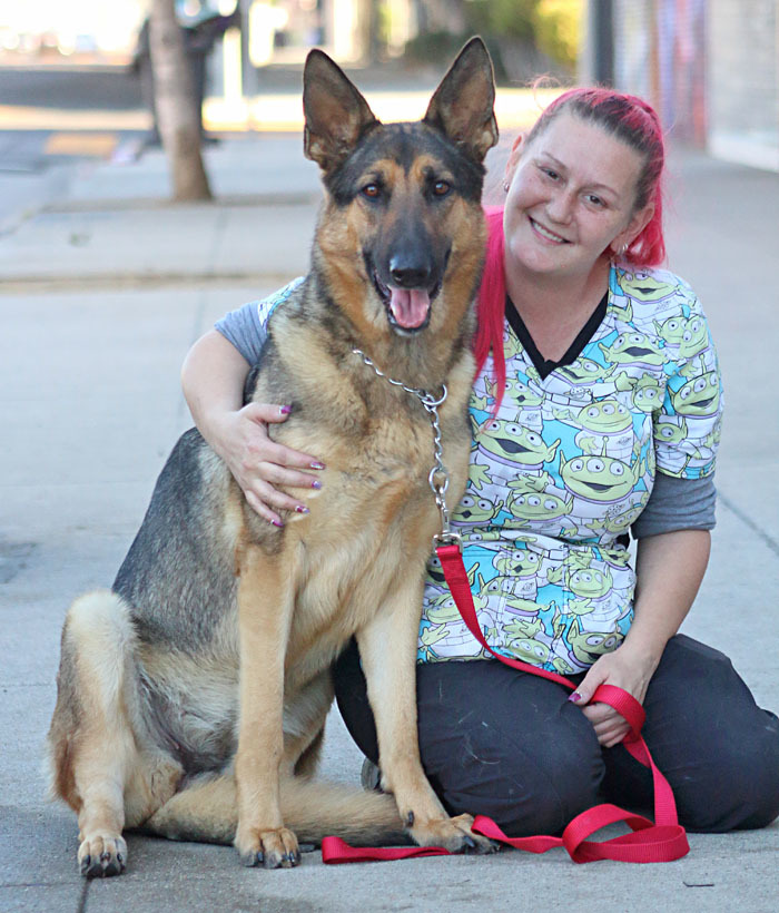 Leia von Leisnig'', an adopted German Shepherd Dog in Los Angeles, CA_image-1