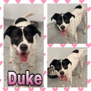 Duke