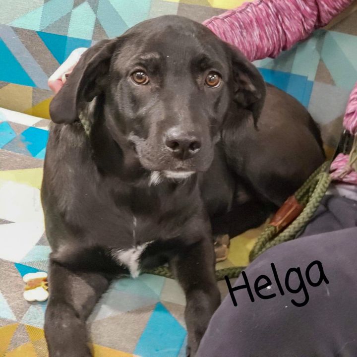 Helga 3