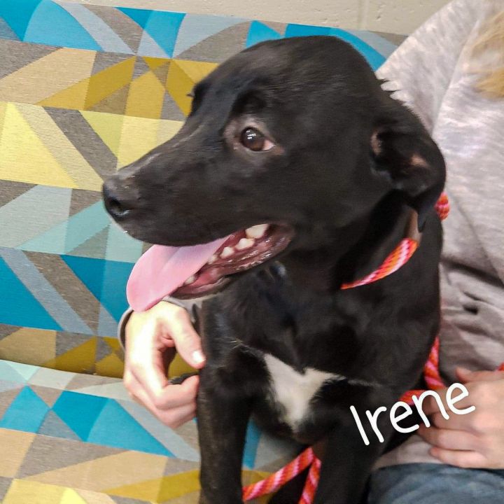 Irene 2
