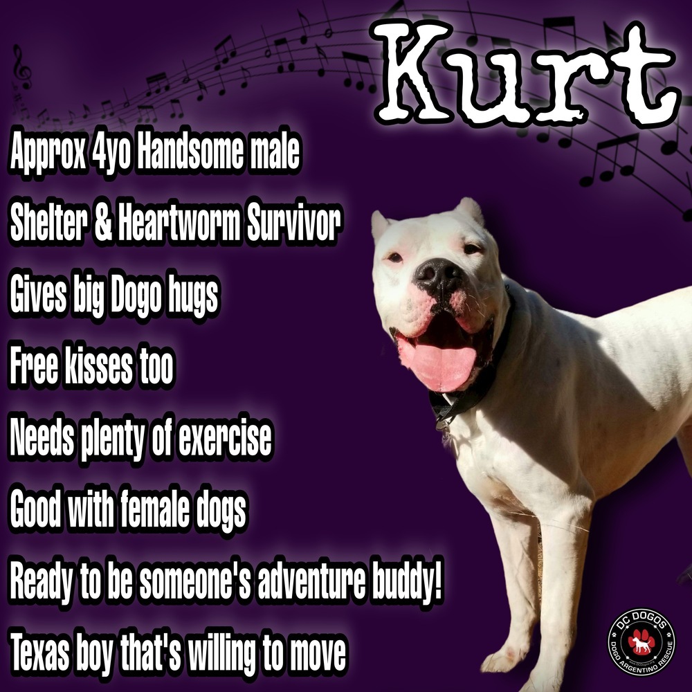 Kurt detail page