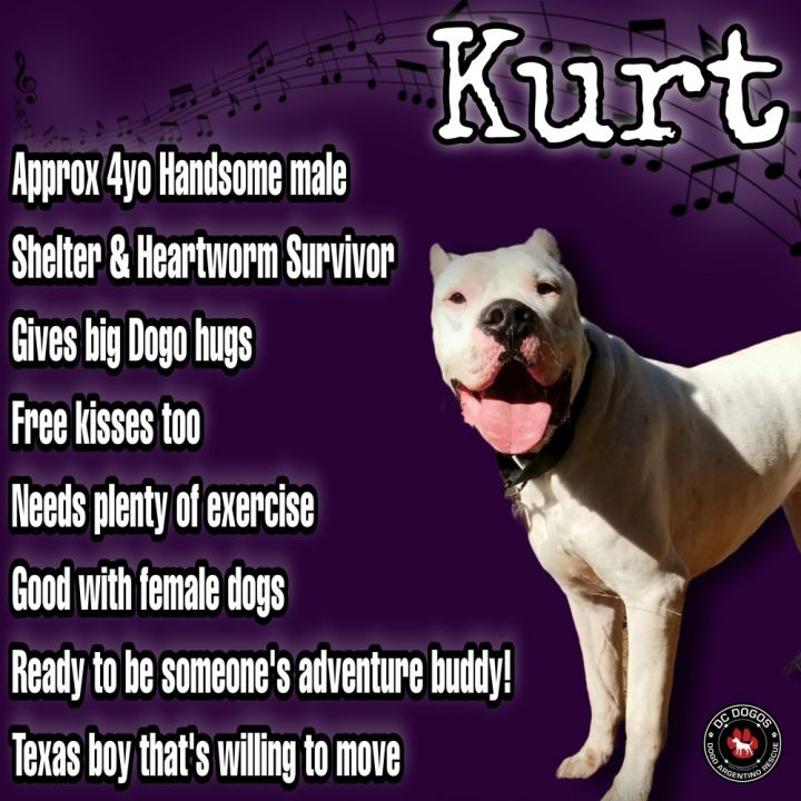 Kurt 1
