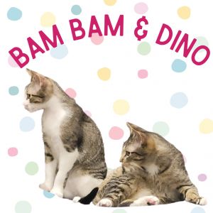 Bam Bam & Dino