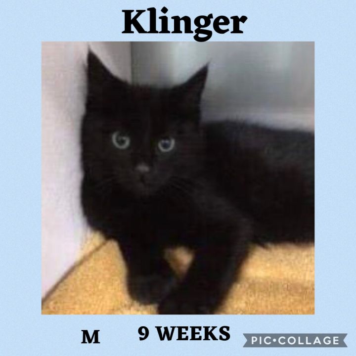 Klinger 1
